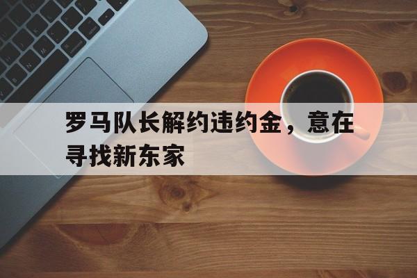 包含罗马队长解约违约金，意在寻找新东家的词条
